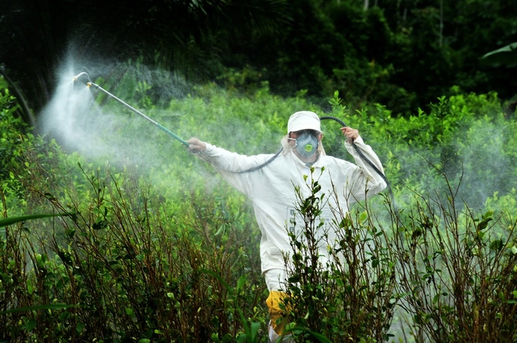 La UMFFAAC resaltó la necesidad de analizar nuevamente el decreto del 13 de febrero del 2023 para no afectar a los trabajadores del campo. El glifosato “es una herramienta necesaria para los productores y su prohibición se suma la sequía, desaparición de programas de apoyo, que impactado negativamente la producción de cultivos". Imagen tomada de https://www.jornada.com.mx/2021/04/17/delcampo/articulos/glifosato-cambio-produccion.html