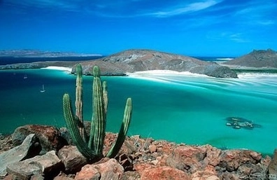 La Reserva de la Biosfera Sierra La Laguna (RBSL) es un área protegida creada en 1994. Imagen  tomada de https://www.jornada.com.mx/2014/06/21/cam-pesca.html