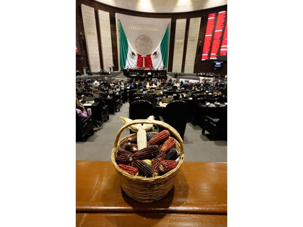 El debate en la Cámara de Diputados duró cinco horas. Foto Germán Canseco 