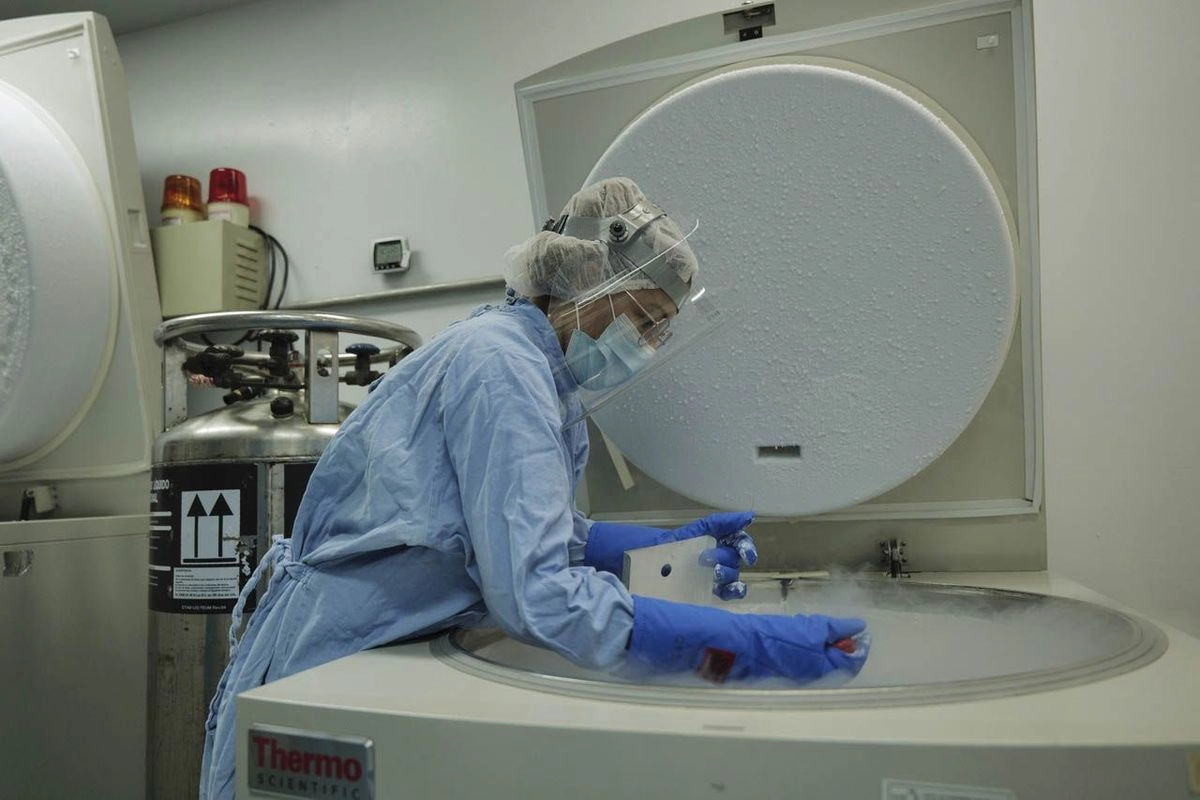 El mieloma múltiple es un cáncer de la sangre que comienza en las células plasmáticas, un tipo de glóbulo blanco de la médula ósea que produce anticuerpos, pero en el mieloma múltiple estas células tienen un crecimiento desordenado que provoca las manifestaciones y progresión tumoral. Foto 