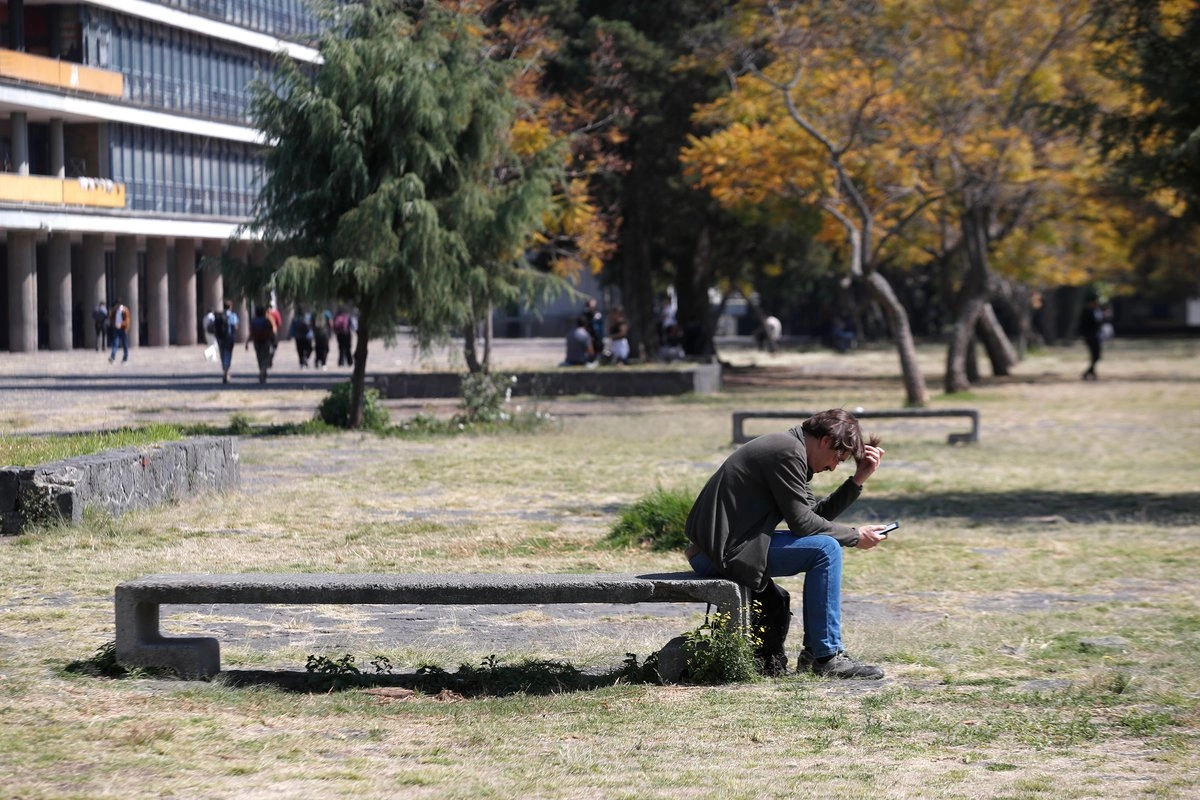 Es común observar en las escuelas a los estudiantes, solos o en grupos, atentos a sus teléfonos celulares.