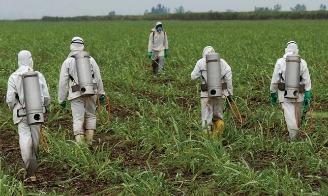 Se busca que la producción resulte segura para la salud humana. Foto La Jornada Ecológica