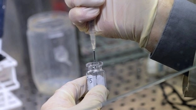 Es una infección causada por el virus de herpes ocho; se caracteriza por manchas color café o rojo en la piel y produce lesiones pulmonares que, sin tratamiento correcto y oportuno, provocan la muerte. Foto Afp / Archivo