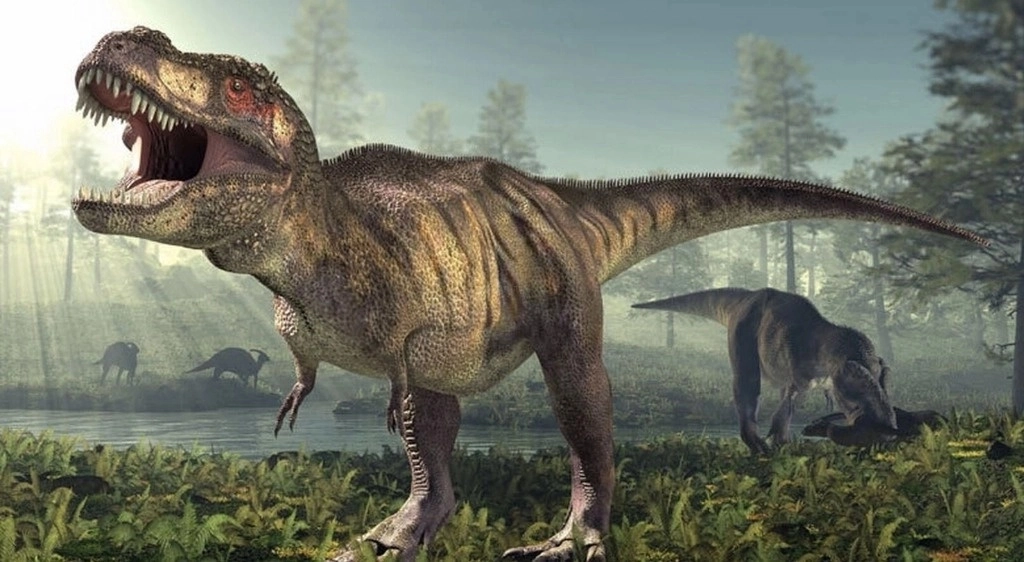 "Tenemos un ecosistema capaz de albergar a un tirano como el Tyrannosaurus rex, pero con suficiente diversidad de pequeños vertebrados como para albergar múltiples especies de aves rapaces", explica Clark. Foto Europa Press / Archivo