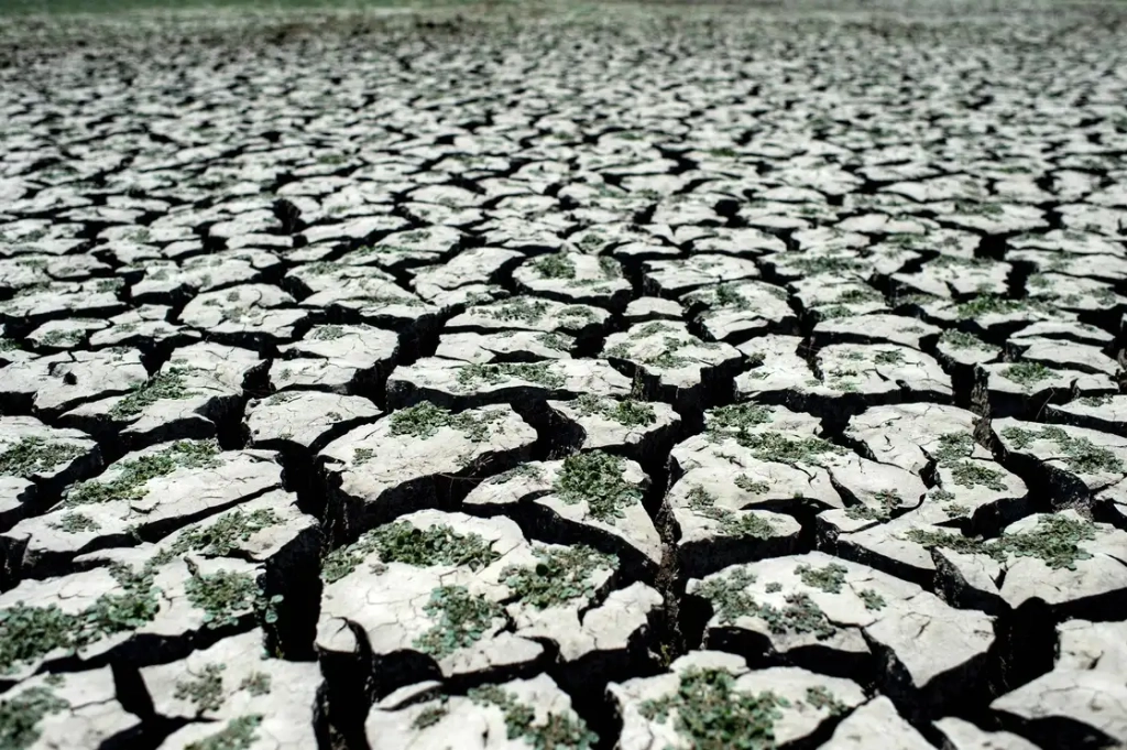El cambio climático alterará de forma dramática e irreversible la vida en la Tierra en los próximos 30 años. Foto Afp / Archivo