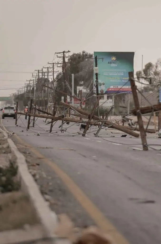 Ventarrones de 75 kilómetros por hora, generados por el frente frío 26, derribaron 11 postes de energía eléctrica en la carretera Mexicali-San Felipe. Foto  'La Jornada Baja California'