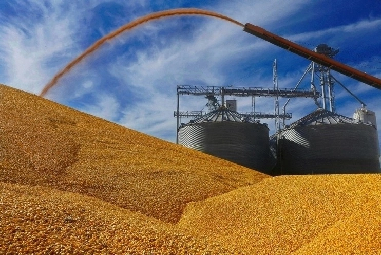 Rusia, el primer exportador mundial de trigo, tendrá una cosecha de 85.5 millones de toneladas, frente a los 90.4 millones previstos anteriormente, mientras que la de Ucrania caerá de 24.5 millones a 23.7 millones. Foto Ap / Archivo