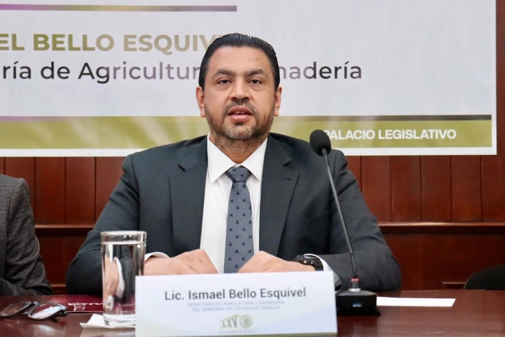 Bello Esquivel sostuvo que en el Valle del Carrizo, el trigo no tuvo daños significativos y que los productores cuentan con seguro agrícola para casos en que existan pérdidas totales. Foto @saygsinaloa
