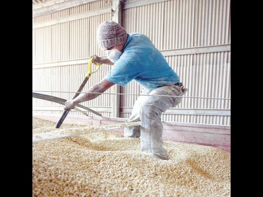 ante la falta de agua, productores agrícolas de Irapuato enfrentan una de las peores situaciones para garantizar la siguiente cosecha de maíz en el próximo ciclo Primavera-Verano 2021. Foto María Luisa Severiano / Archivo