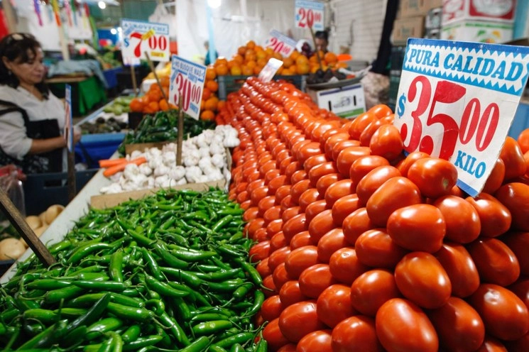 La Secretaría de Agricultura y Desarrollo Rural informó que la balanza comercial de productos agroalimentarios de México registró un incremento en el primer semestre de este año de 19 por ciento, lo que equivale a un superávit para el periodo de referencia de siete mil 462 millones de dólares. Foto Roberto García Ortiz / Archivo