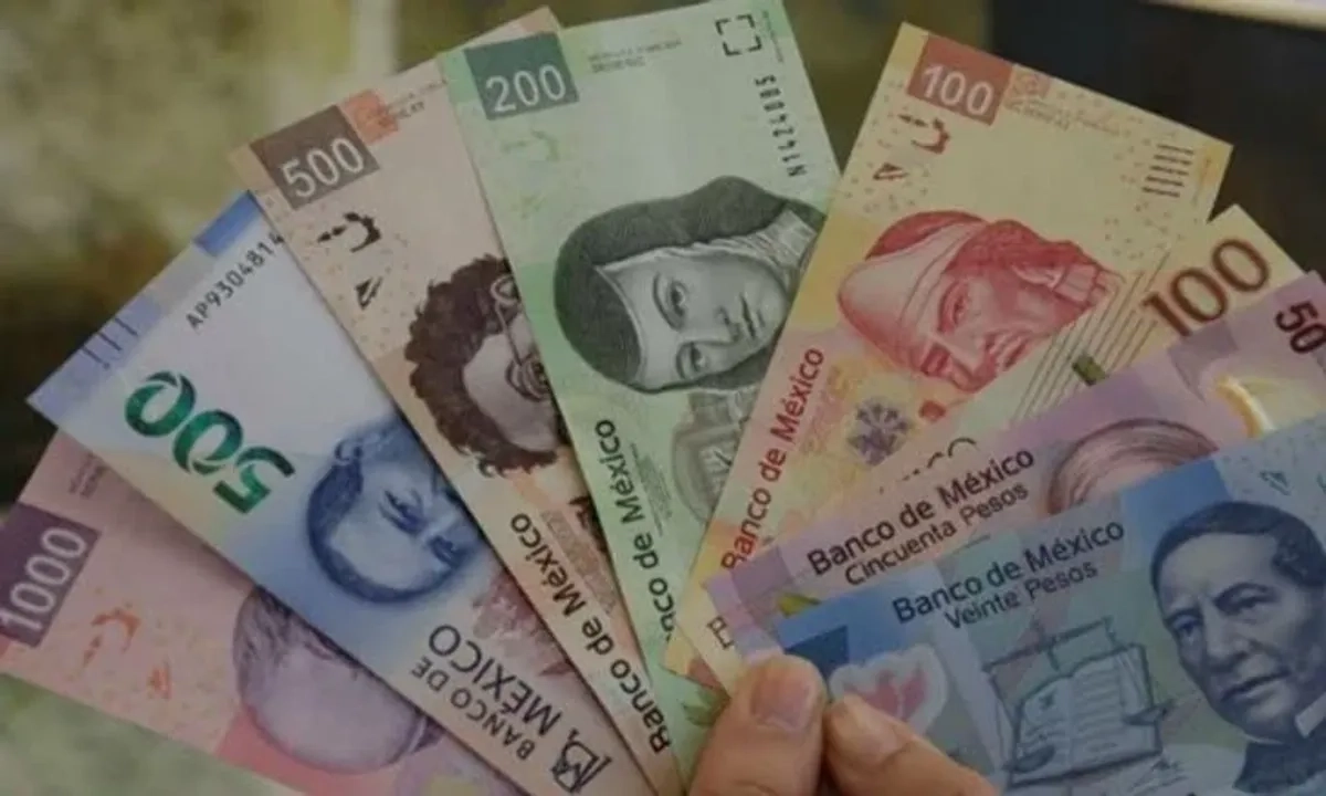 Billetes de distinta denominación. Foto