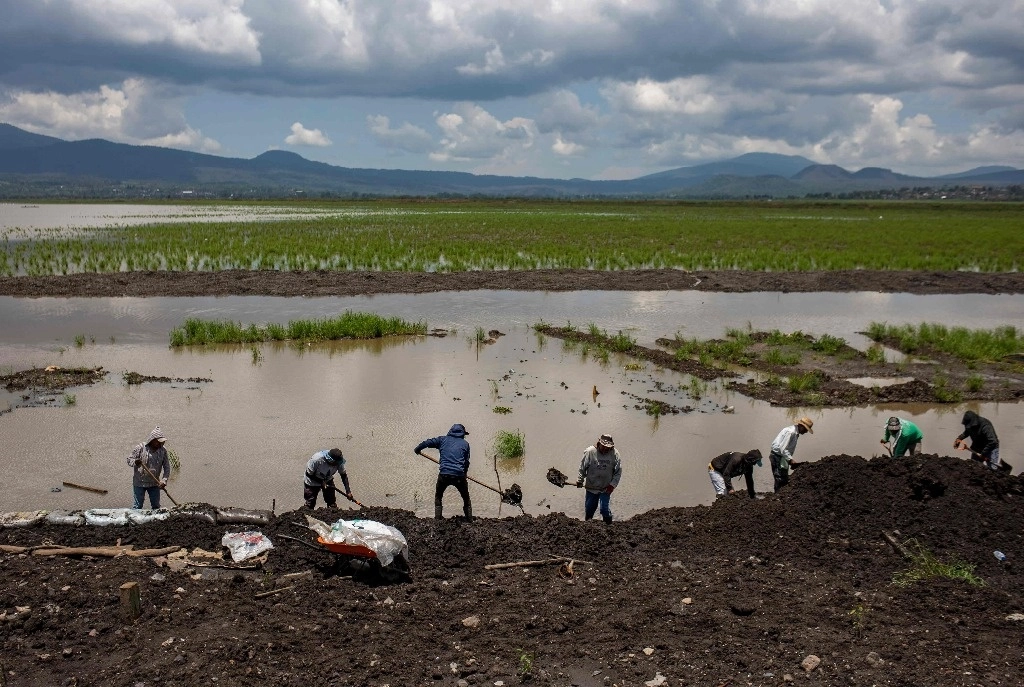En la imagen, trabajadores locales realizan labores en la isla de Janitzio para recuperar el nivel del agua del lago Patzcuaro, que se ha visto amenazado por la sequía, el 16 de julio de 2024. Foto Afp   