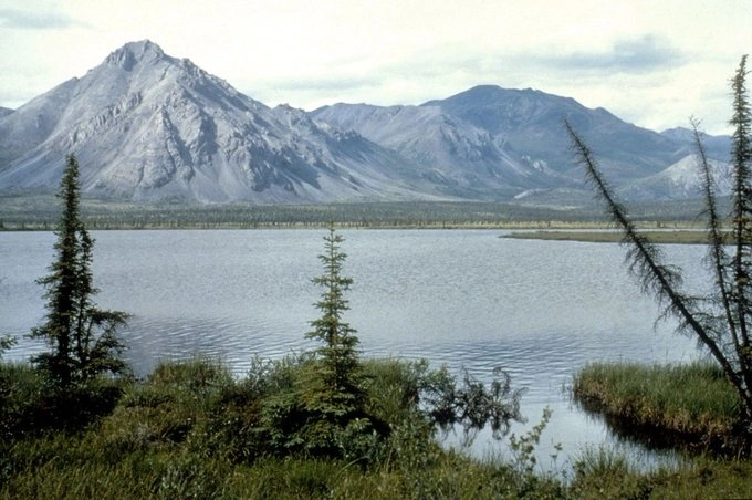 La asociación de protección del medioambiente Sierra Club se congratuló por la decisión. Foto @SierraClub 