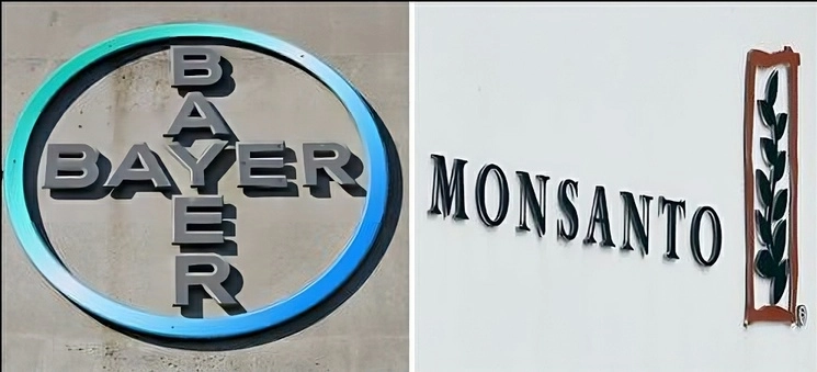 El acuerdo también exige a Bayer y a su unidad Monsanto que dejen de hacer publicidad en la que se afirme que los productos Roundup que contienen glifosato son seguros y no tóxicos. Foto Afp / Archivo