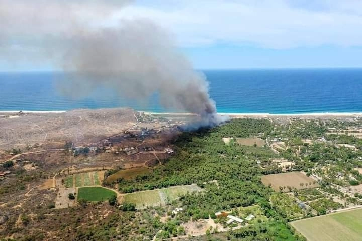 El incendio en la zona de palmares de Todos Santos BCS inició este sábado a medio día. Foto Subsecretaría de Protección Civil 