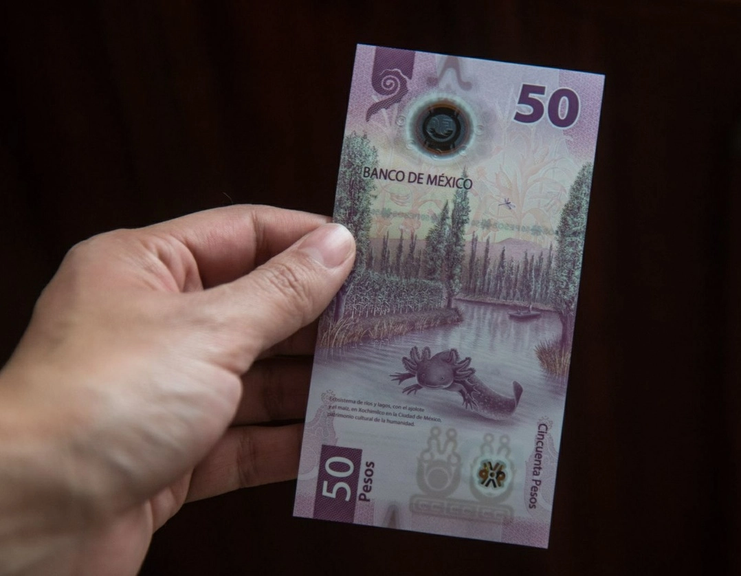 En nuevo diseño del billete de 50 pesos fue premiado por La Sociedad Internacional de Billetes de Banco. Foto Cuartoscuro