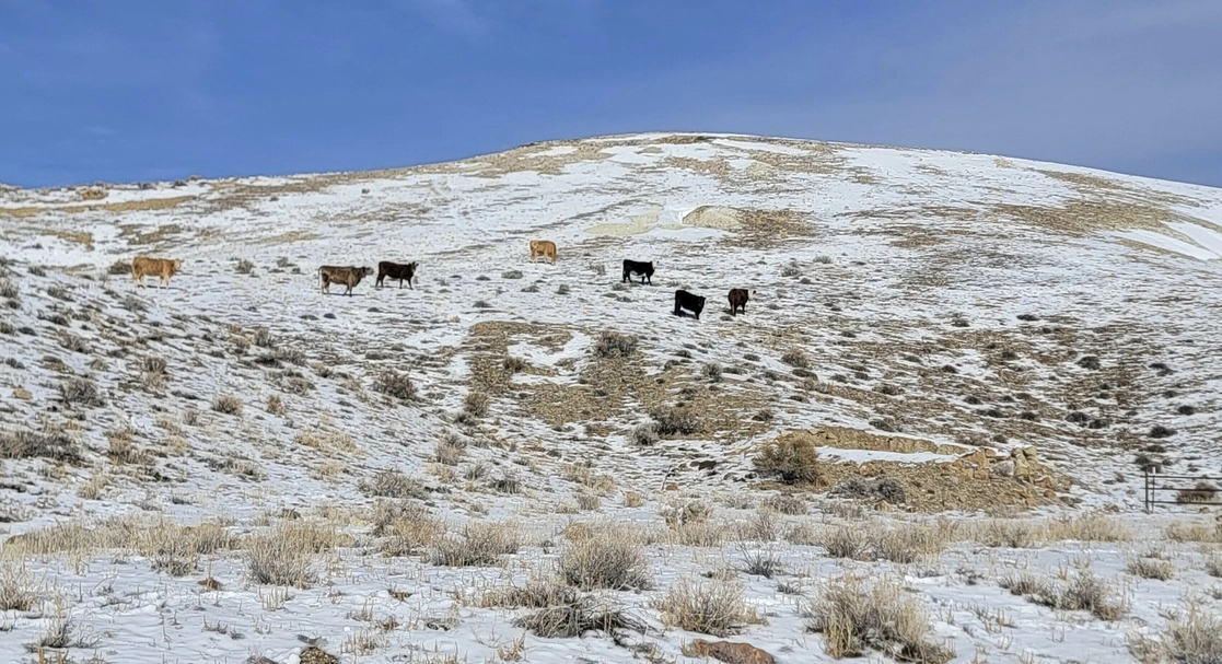 Mina de litio en Nevada, EU. Foto Ap