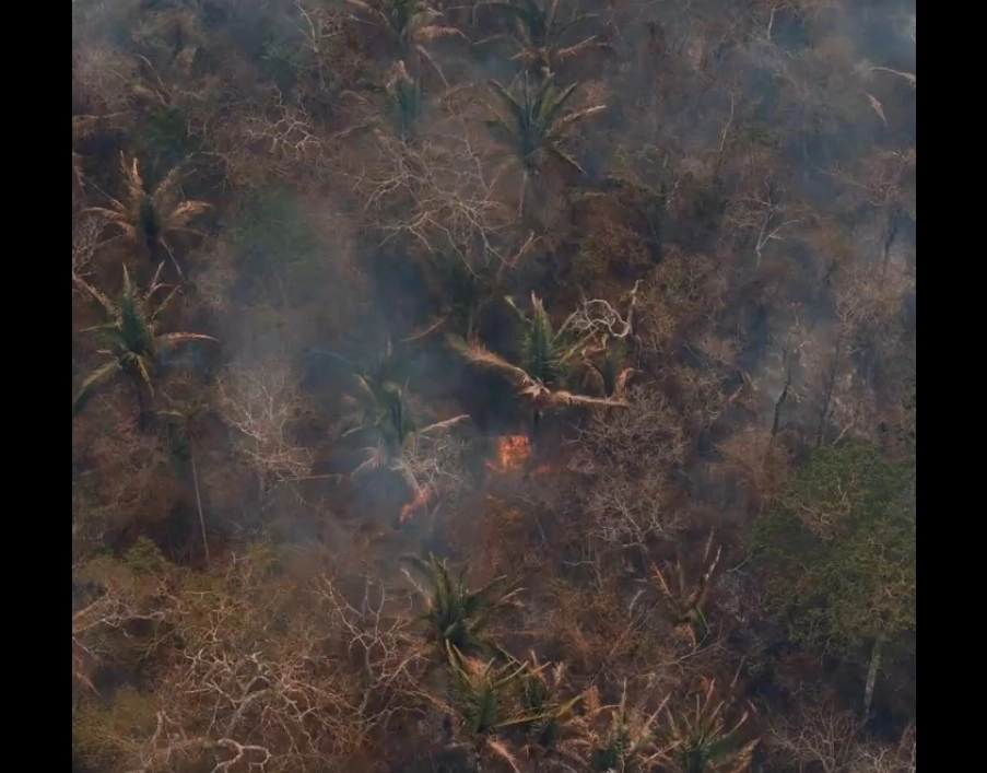 El gobierno boliviano declaró el 30 de septiembre situación de desastre nacional por los incendios forestales en el este del país. Foto tomada de redes sociales