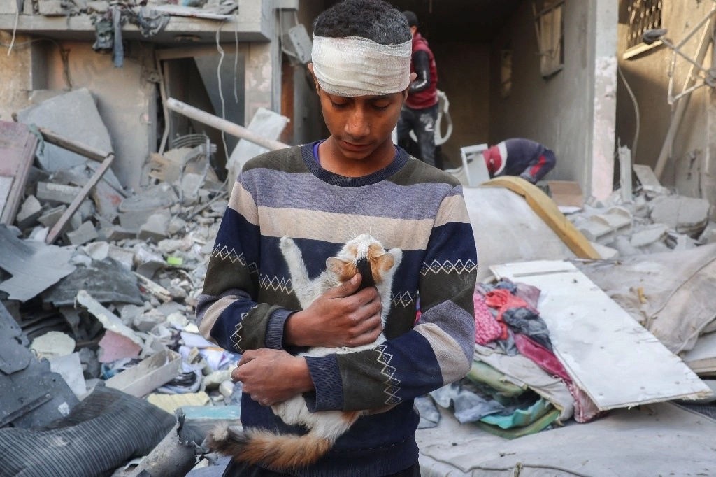 Un joven salva a un gato tras un bombardeo israelí en Nuseirat, en el centro de la Franja de Gaza, el 6 de diciembre de 2024. Foto Afp