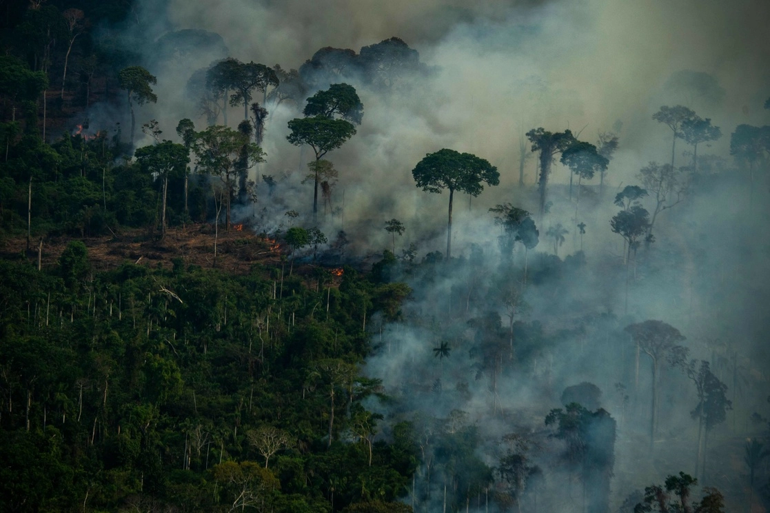 Por deforestación, el Amazonas perdió 13 mil 235 kilómetros cuadrados de selva de agosto de 2020 a julio de 2021. Foto Afp 