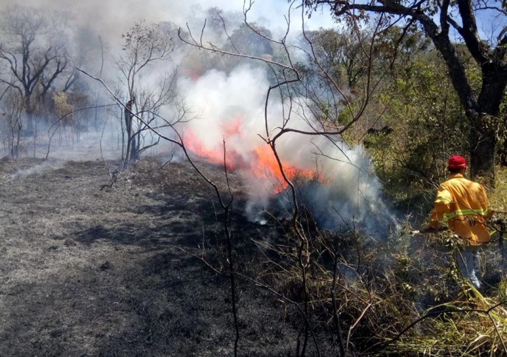 El gobierno estatal también advirtió de que los incendios forestales podrían propagarse rápidamente debido a las ráfagas de viento y arrasar grandes extensiones de vegetación natural. Foto @governosp 