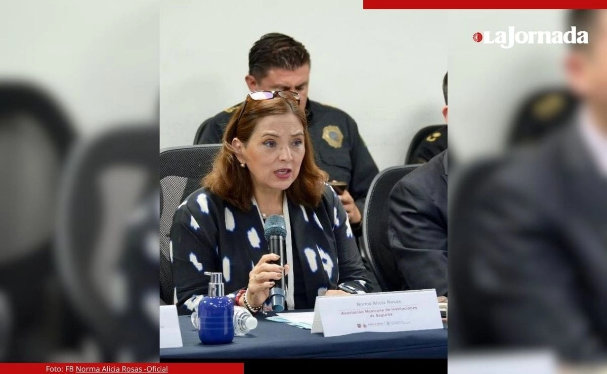 Norma Alicia Rosas, directora de la Asociación Mexicana de Instituciones de Seguros (AMIS). Foto 