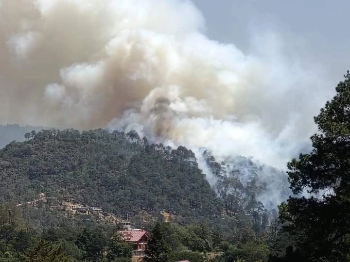 Este domingo se registró un incendio forestal en el Parque Nacional El Chico, en Hidalgo. Foto La Jornada