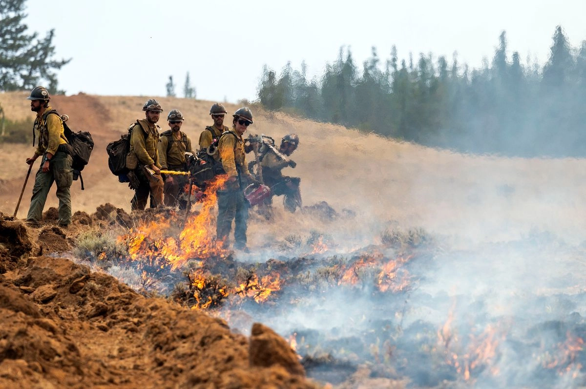 Brigadistas que combaten el incendio forestal de 'Bear Gulch' en Washington lamentaron la forma en que son tratados pese a que arriesgan la vida para salvar a las comunidades afectadas. Foto 