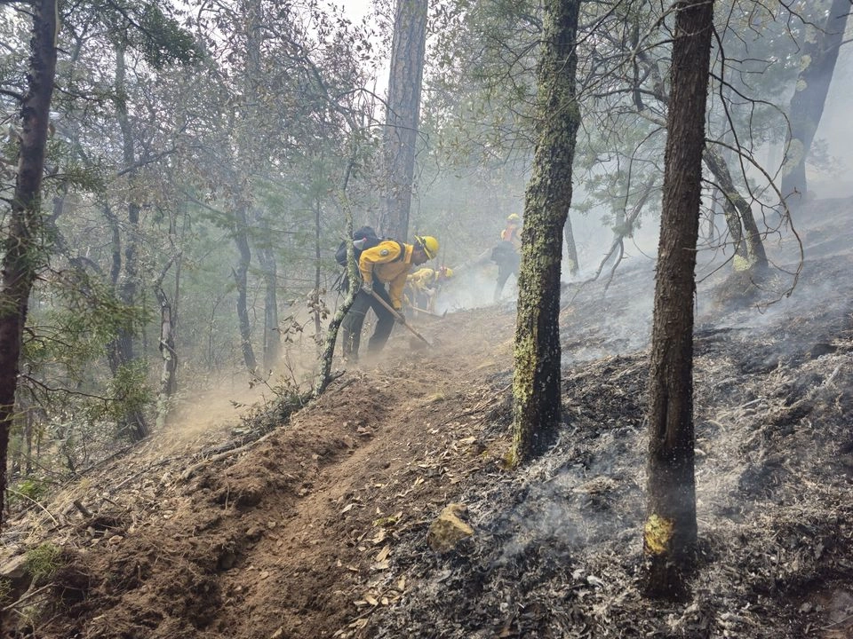 La SDR hizo un llamado urgente a la población para extremar precauciones y colaborar en la prevención de incendios forestales, adoptar medidas básicas como apagar completamente fogatas y no arrojar colillas de cigarro en áreas naturales.
