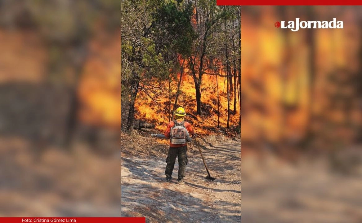 Ante la emergencia, el Gobierno de Sonora hizo un llamado urgente a la población para evitar cualquier práctica que pueda detonar nuevos incendios, como encender fogatas, quemar basura o utilizar maquinaria que genere chispas en zonas forestales.