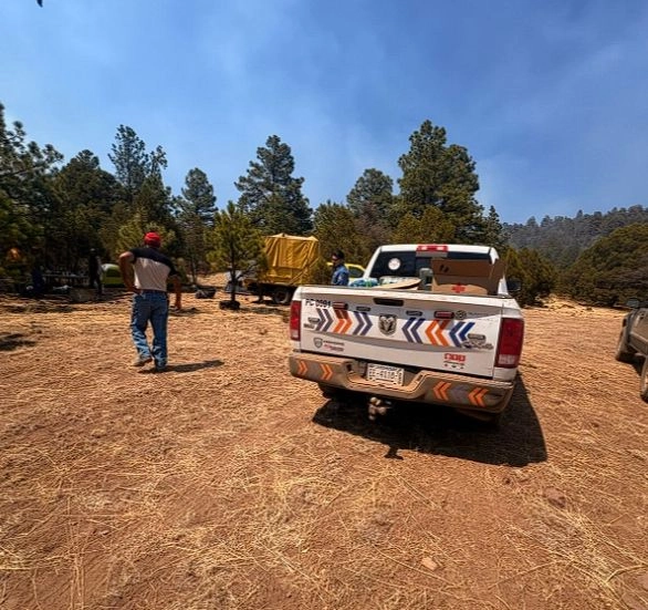 Las brigadas ya se encuentran activas y trabajan de manera coordinada con la Comisión Nacional Forestal (Conafor), la Coordinación Estatal de Protección Civil, autoridades municipales, ejidos y unidades de manejo forestal. Foto 