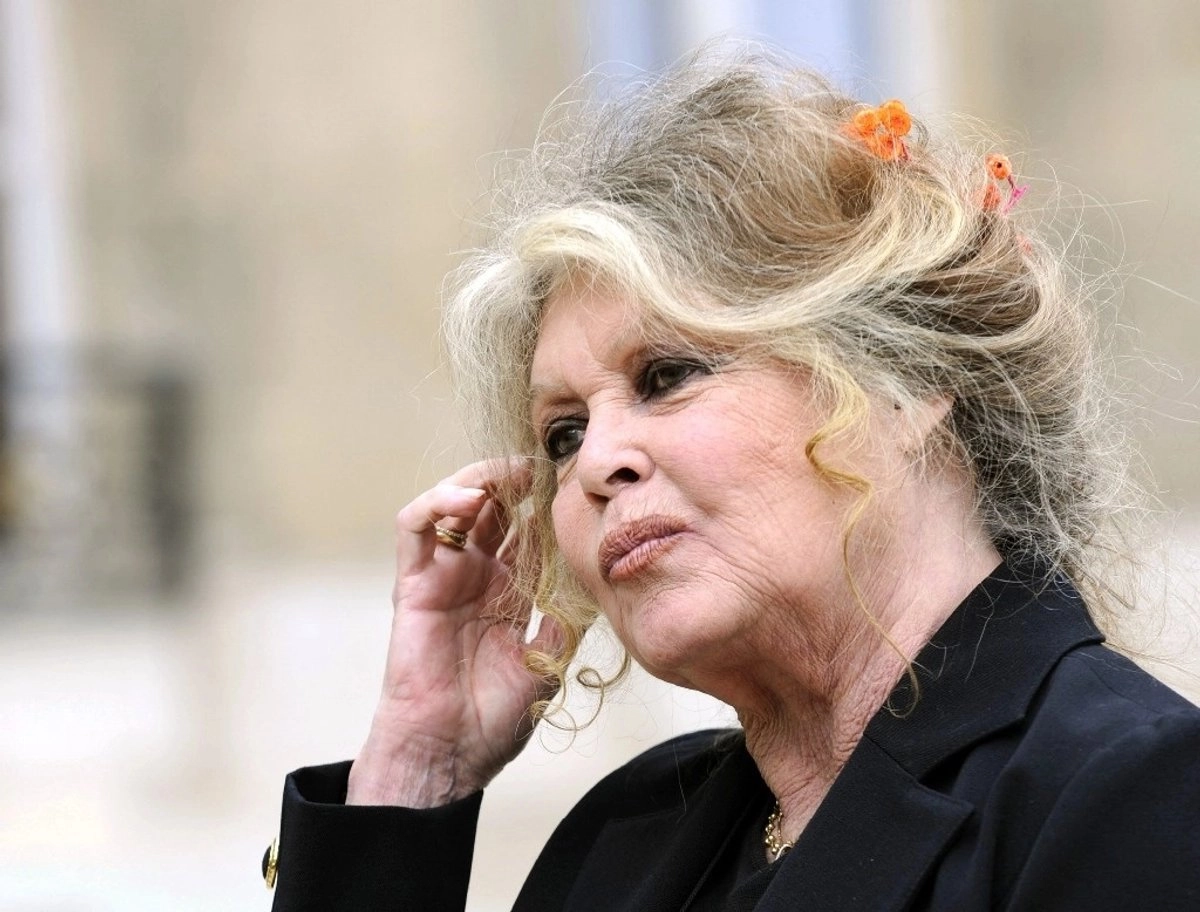 Brigitte Bardot en imagen de 2007, durante un evento en el Palacio del Elíseo. Foto 