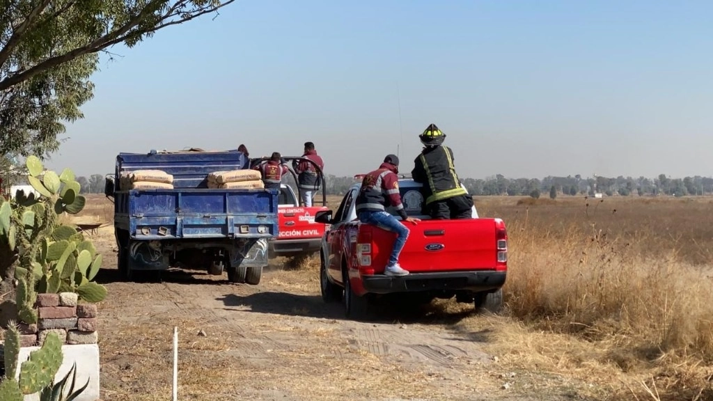 Bomberos realizan recorridos para buscar a los felinos. Foto La Jornada
