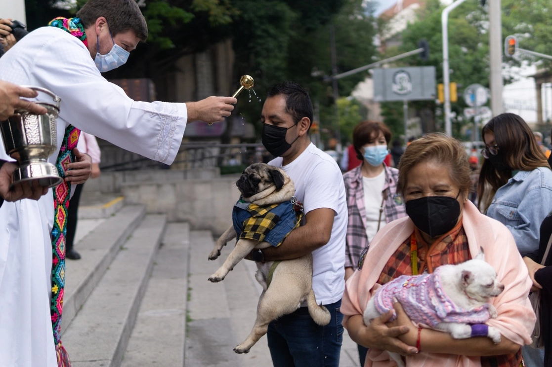 Capitalinos acuden a la Iglesia del Sagrado Corazón, en la colonia Roma, en la Ciudad de México, con sus animales de compañía para que sean bendecidos con motivo del Día de San Francisco de Asís, el 3 de octubre de 2021. Foto Pablo Ramos