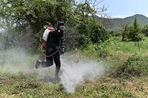 EU y Canadá fortalecerán el intercambio de información para reforzar el trabajo conjunto y avanzar en la integración de una regulación de plaguicidas de uso agrícola más eficiente y armonizada en la región. Foto Afp / Archivo