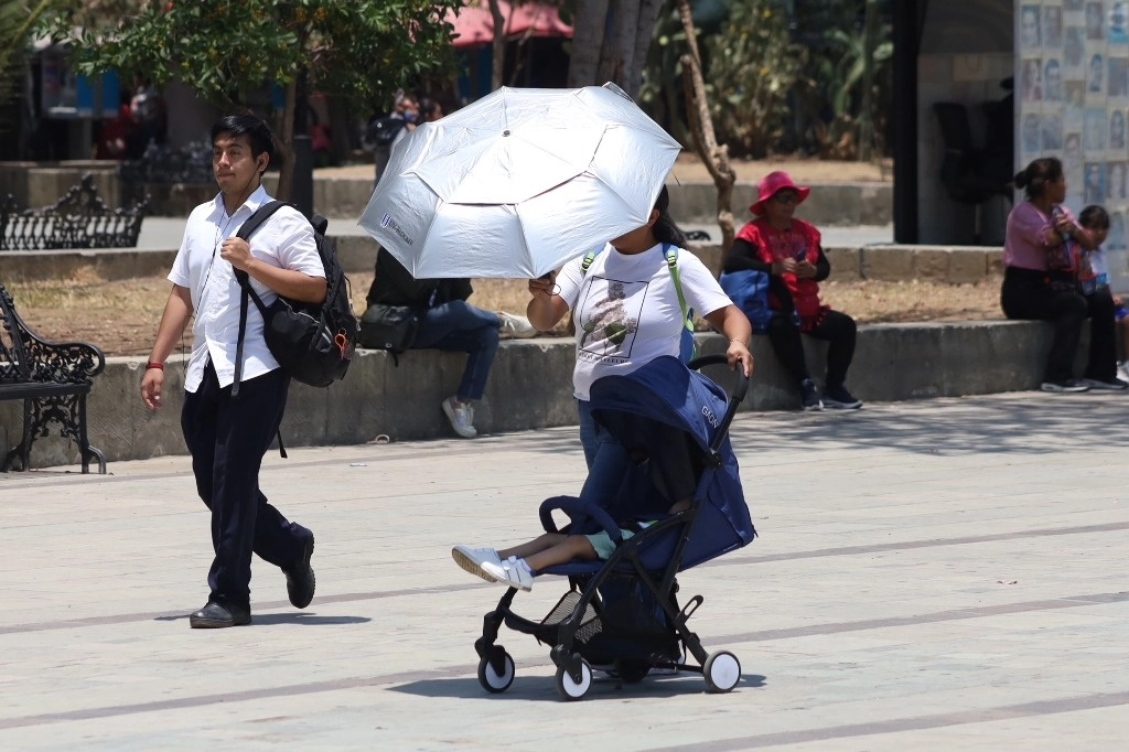 Ante las altas temperaturas en Oaxaca, las personas se cubren con paraguas y sombreros; también utilizan prendas de colores claros para evitar un golpe de calor. Foto Jorge A. Pérez



