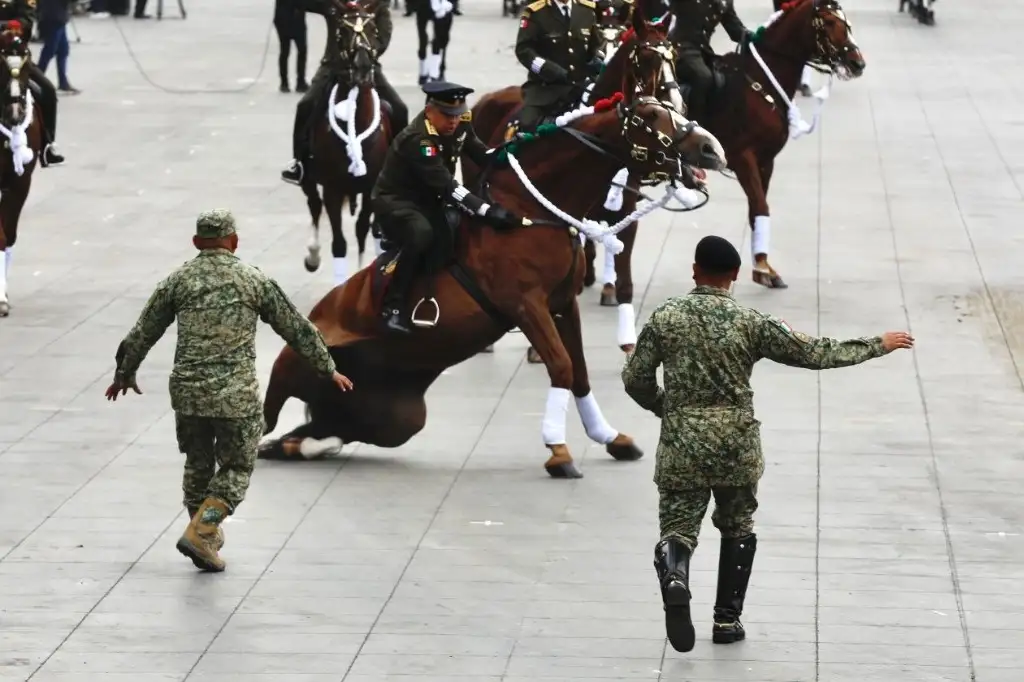 Siete caballos cayeron junto a sus jinetes durante el desfile por el 114 aniversario del inicio de la Revolución Mexicana, el 20 de noviembre de 2024. Foto Germán Canseco
