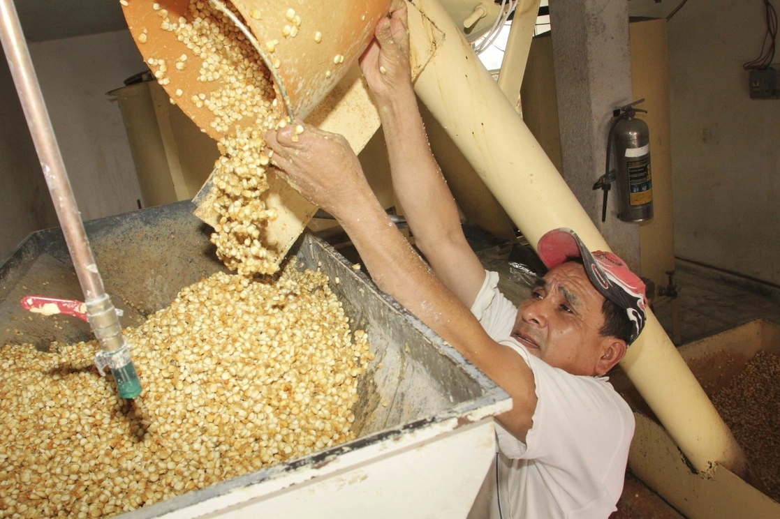 La Central Campesina Cardenista sostuvo que el gobierno se ha negado a escuchar las necesidades de los productores, las propuestas de sus organizaciones, que enfrentan altos costos de producción por lo caro de los principales insumos y energéticos y falta de apoyo para mejorar la productividad como única alternativa de aumentar la producción. Foto Cuartoscuro / Archivo