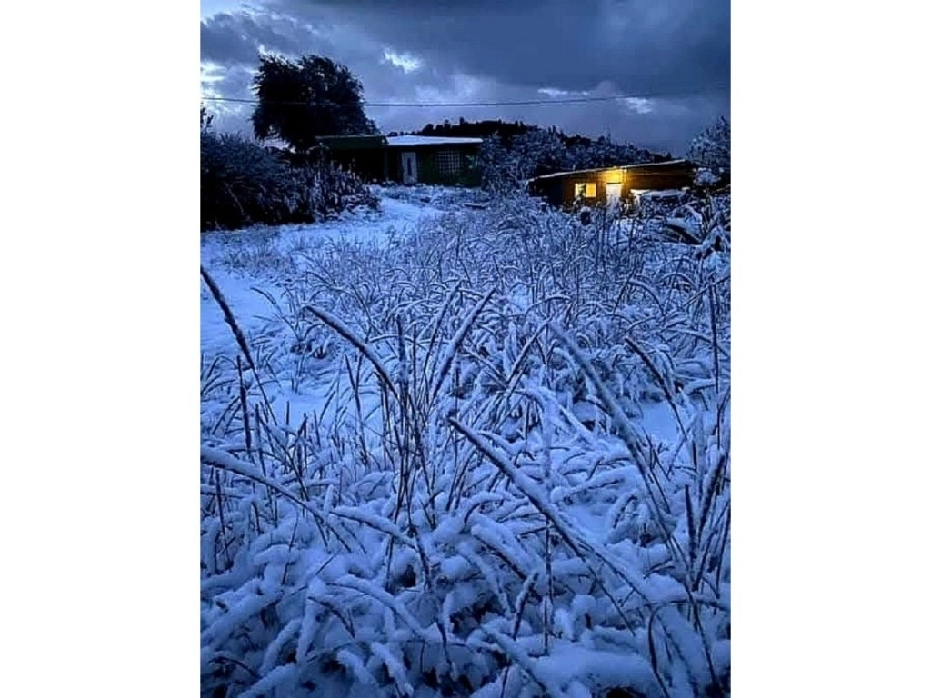 El aguanieve cayó con mayor intensidad en la localidad rural de Milpillas de la Sierra, en el municipio de Valparaíso, Zacatecas. Foto Alfredo Valadez
