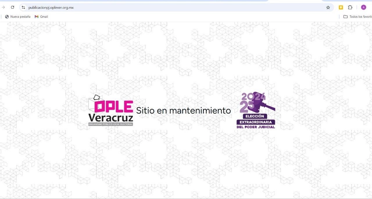 Algunas personas han expresado su desconfianza ante el error del sistema pues consideran que podría haber manipulación de los sufragios y generar algún tipo de fraude.