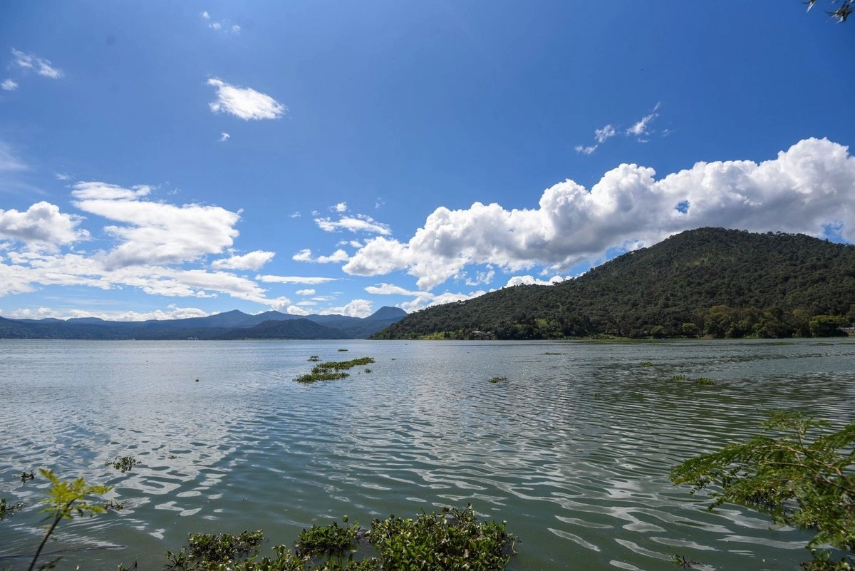 Campesinos de Chihuahua y Guanajuato rechazaron la redacción del artículo 22, que prohíbe la transmisión de derechos de agua. Foto 