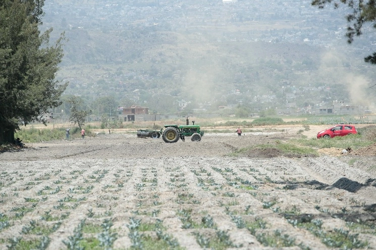 Cultivo de hortalizas en la alcaldía Tláhuac de la Ciudad de México. Foto Luis Castillo / Archivo