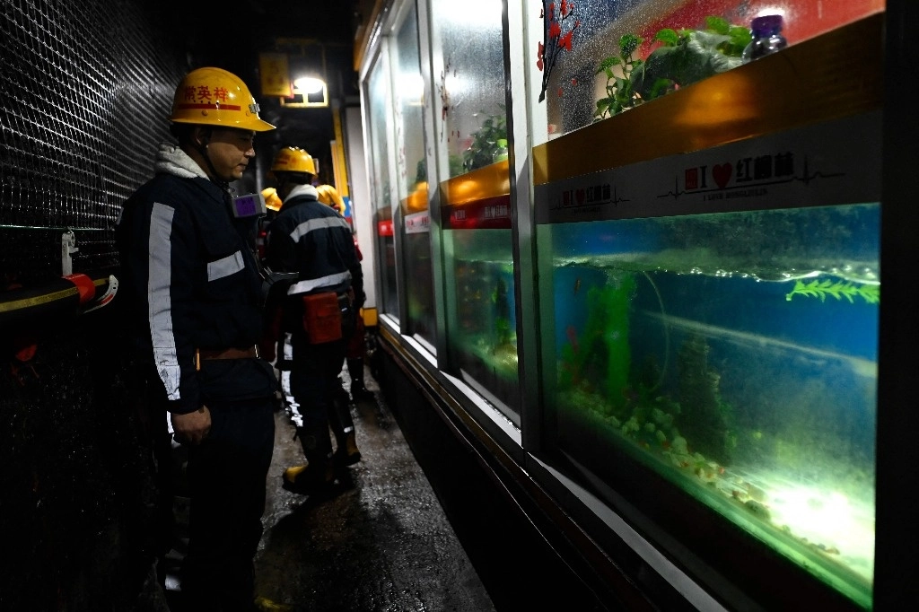 Imagen de archivo de mineros. Foto Afp