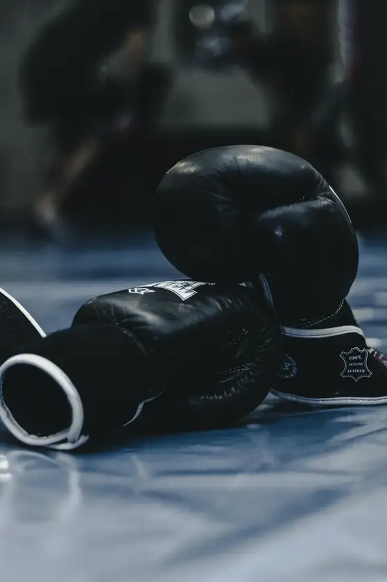 Canelo vs Yildirim