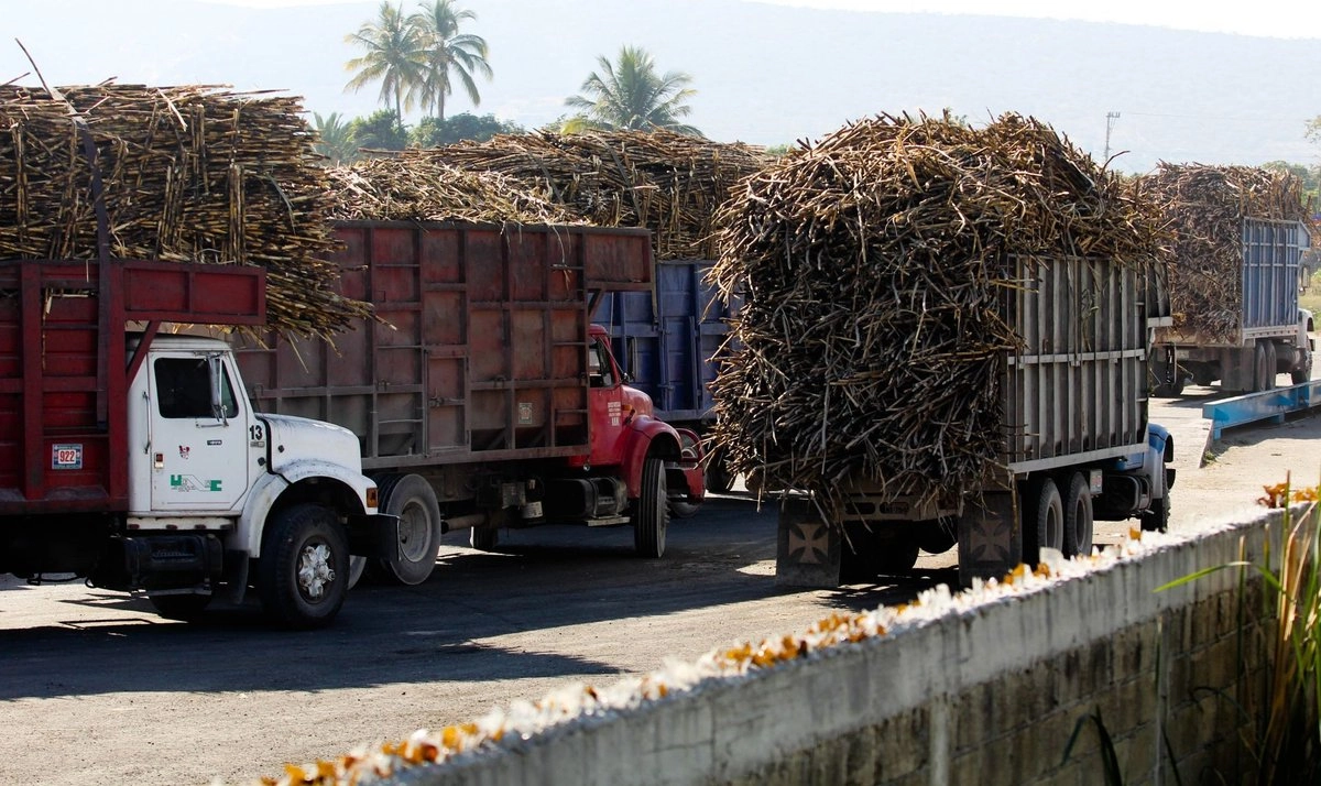 Indicaron que líderes cañeros buscan el diálogo con las autoridades federales para lograr acuerdos y que ello beneficie a los productores de caña, por lo que esperan que en breve exista una solución.


