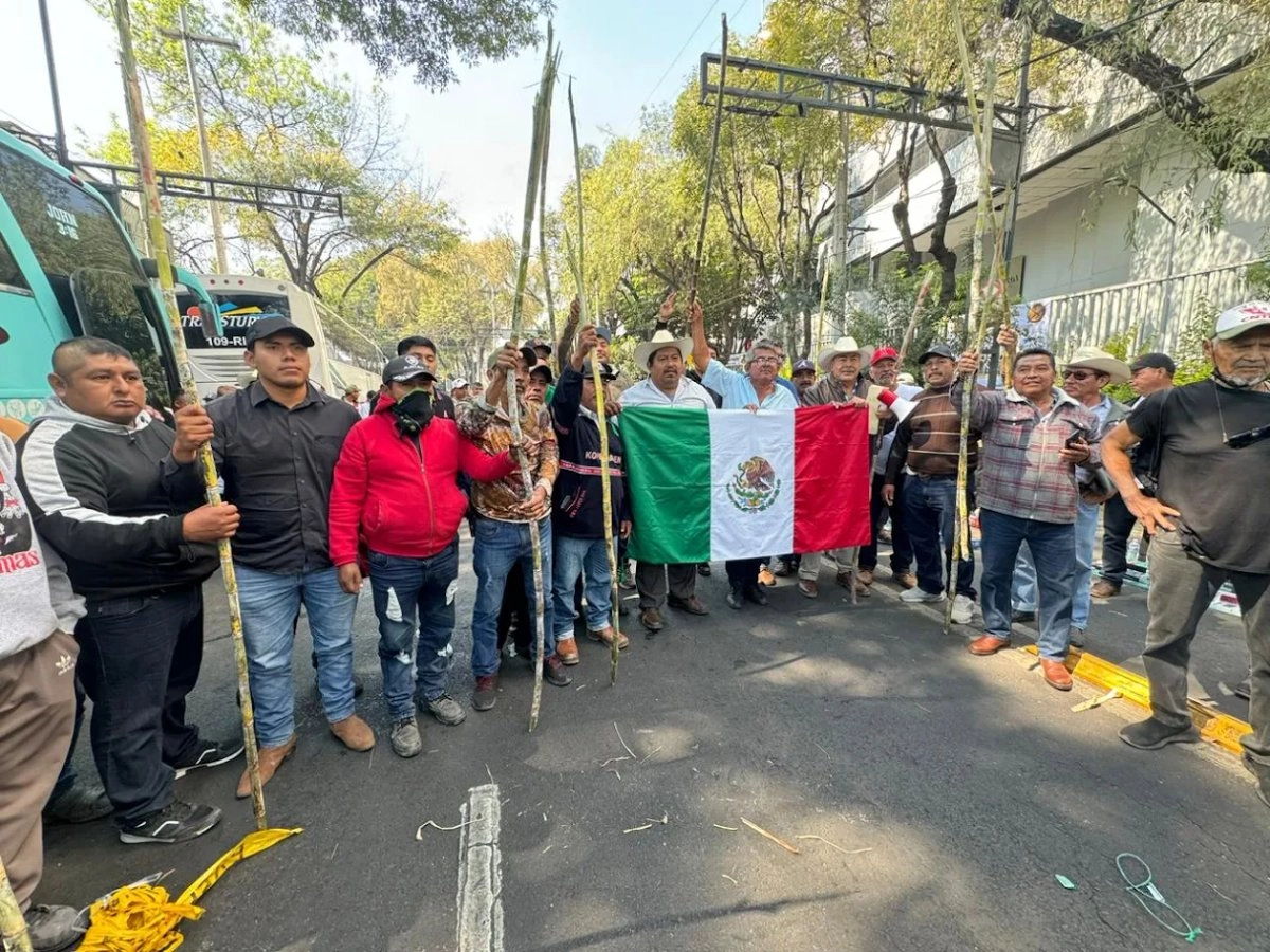 Productores de caña, durante su protesta en el Eje 7 Sur Municipio Libre, frente a la Sader, en la alcaldía Benito Juárez, en la Ciudad de México, el 12 de noviembre de 2025. 