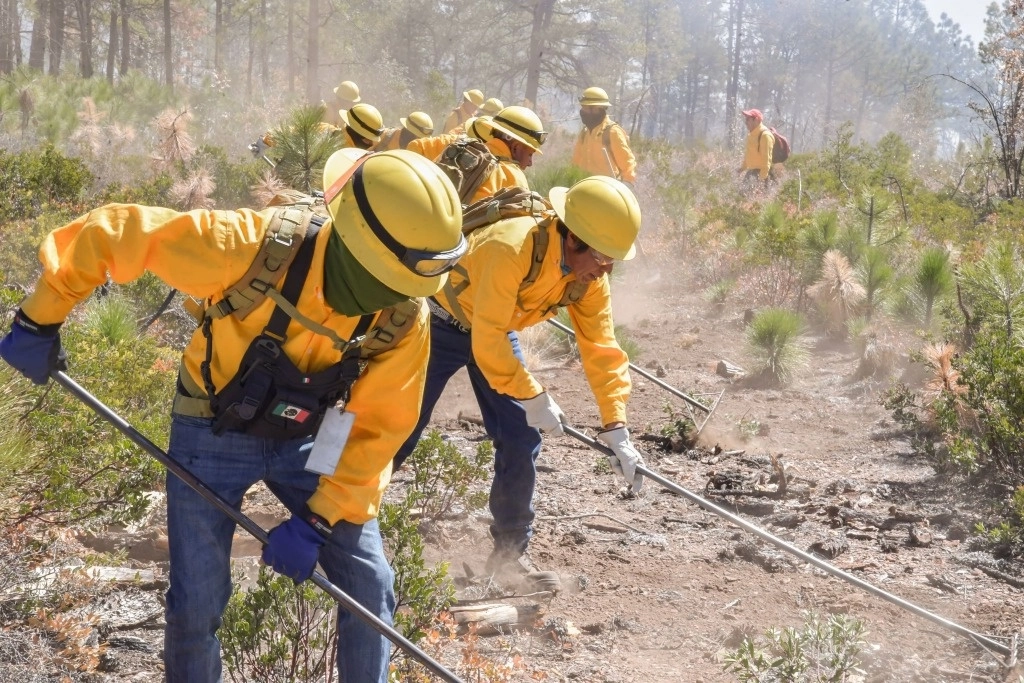 Brigadistas de Chihuahua combatiendo un incendio en imagen de archivo. Foto @GobiernoEdoChih