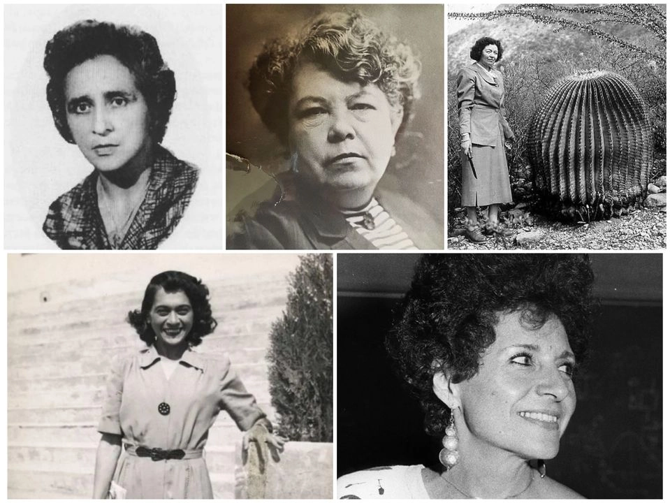 Las investigadoras María Agustina Batalla Zepeda, Matilde Montoya Lafragua, Helia Bravo Hollis, Paris Pismish y Alejandra Jáidar Matlobos. Foto cortesía de la UNAM 