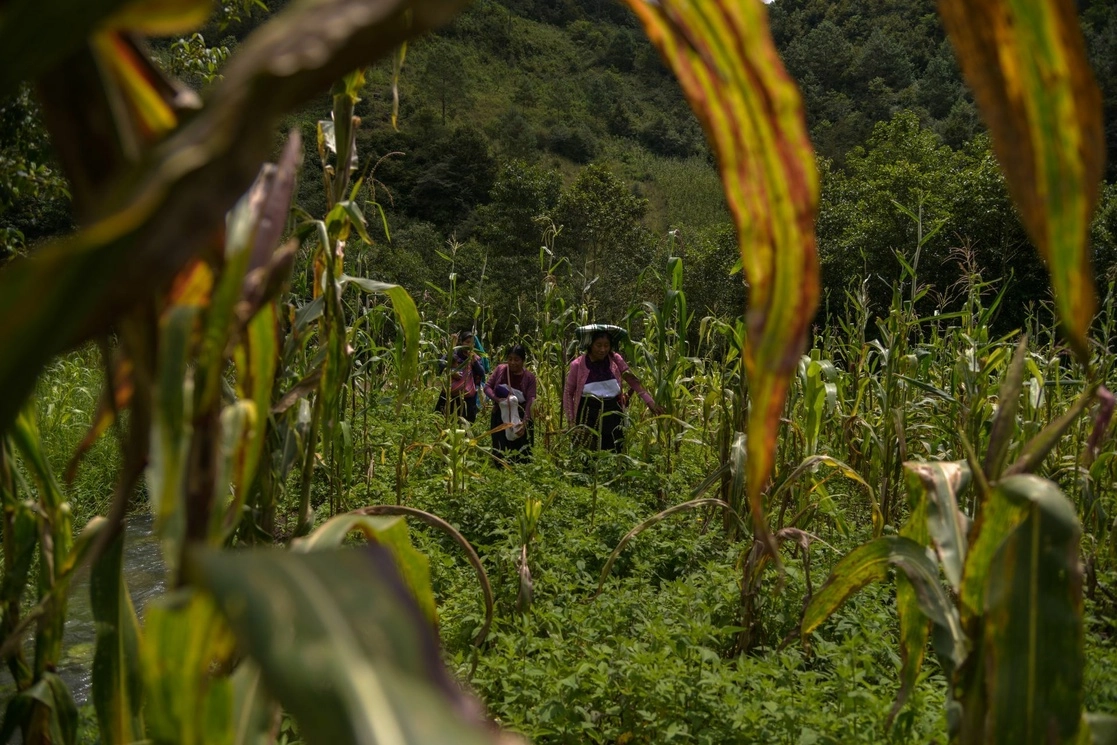 De los cinco millones de dueños de núcleos agrarios que hay en México, sólo el 30 por ciento son mujeres. En la imagen, una campesina en el pueblo de San Andrés Larráinzar, Chiapas. Foto Cuartoscuro / Archivo
