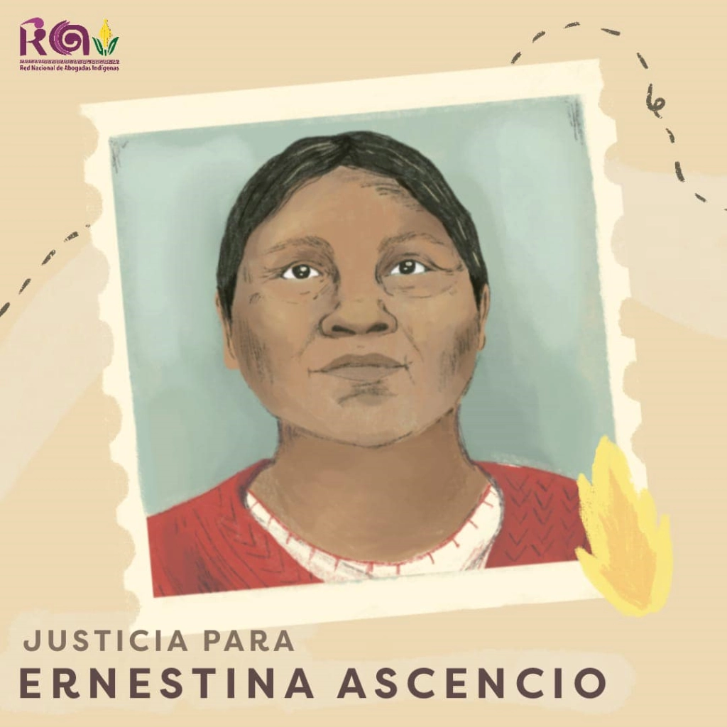 Ernestina Ascencio, murió el 26 de febrero de 2007, después de un ataque sexual por parte de soldados en su pueblo Tetlatzinga, en la sierra de Zongolica, Veracruz. Imagen tomada de https://www.facebook.com/RAI.Nacional
